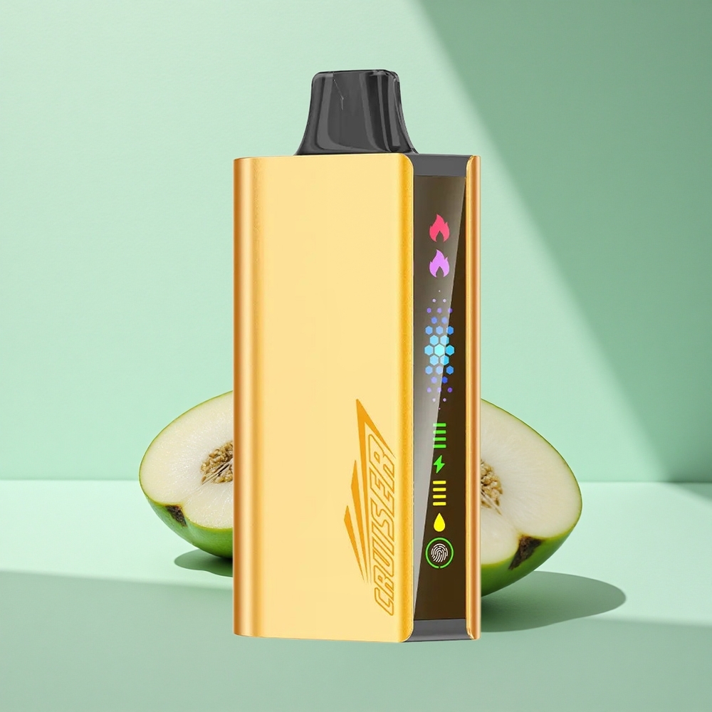 JNR Cruiser 12000 Kühle Minze Dual-Mesh Vollmetall