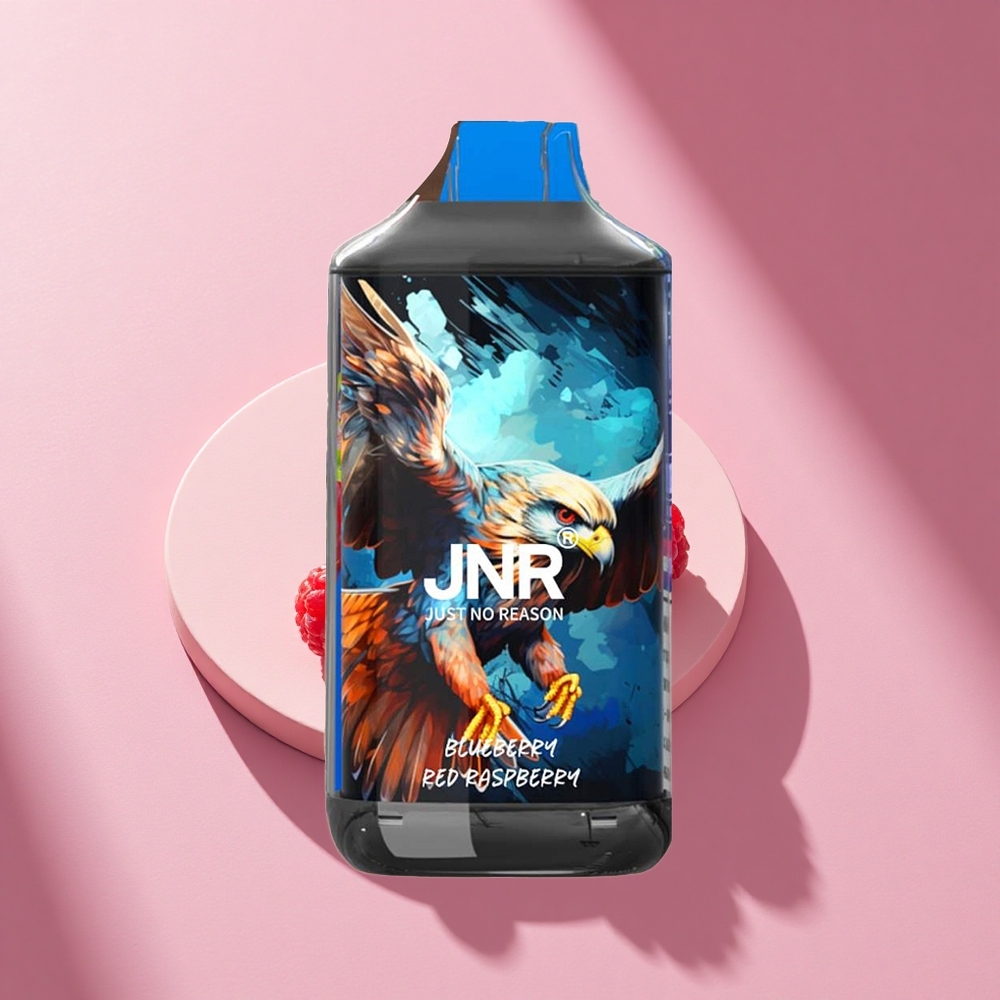 JNR Falcon 16000 Blaubeere Himbeere Dual Mesh 22ml LED