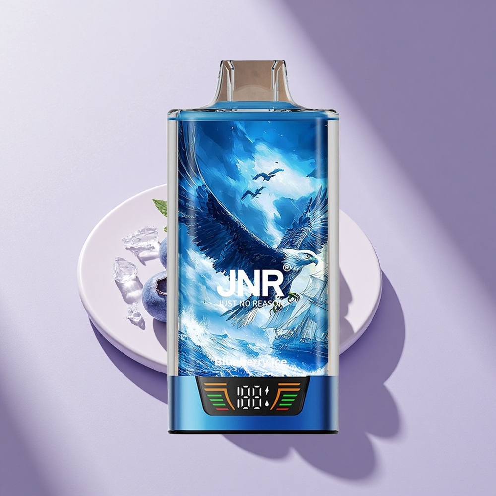 JNR Falcon Pro 28000 Blaubeer-Eis Dual Mesh 30ml 950mAh