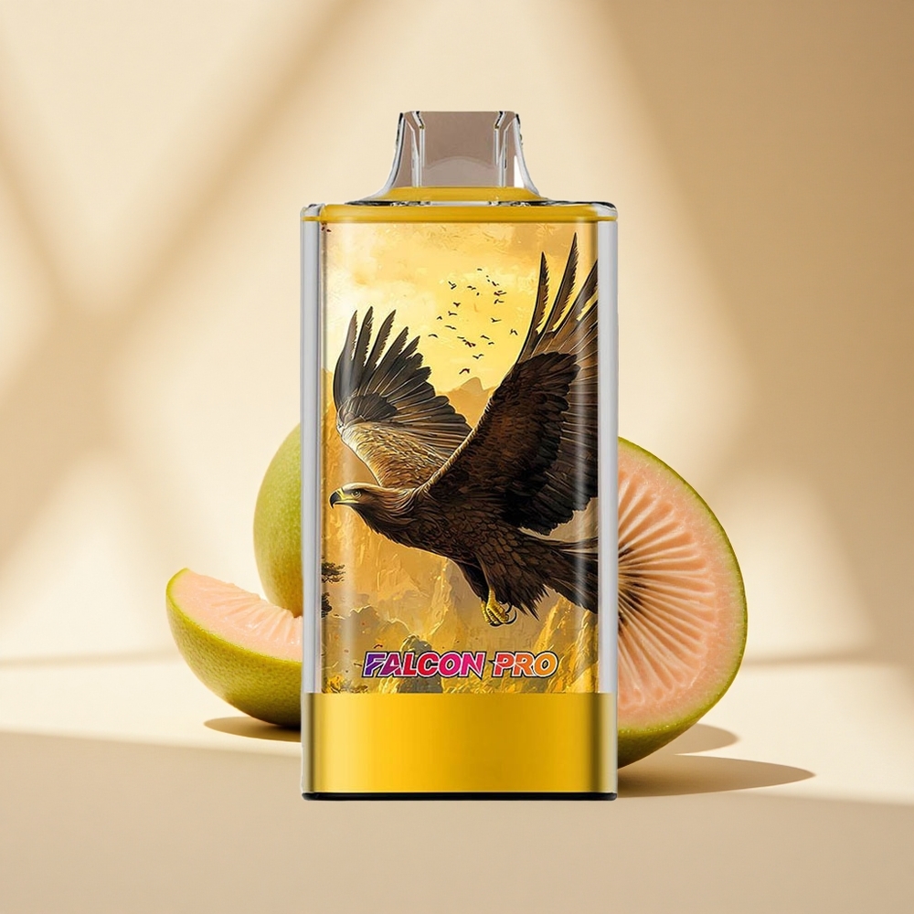 JNR Falcon Pro 28000 Passionsfrucht-Guave-Doppelnetz mit 30ml und Typ-C-Ladung