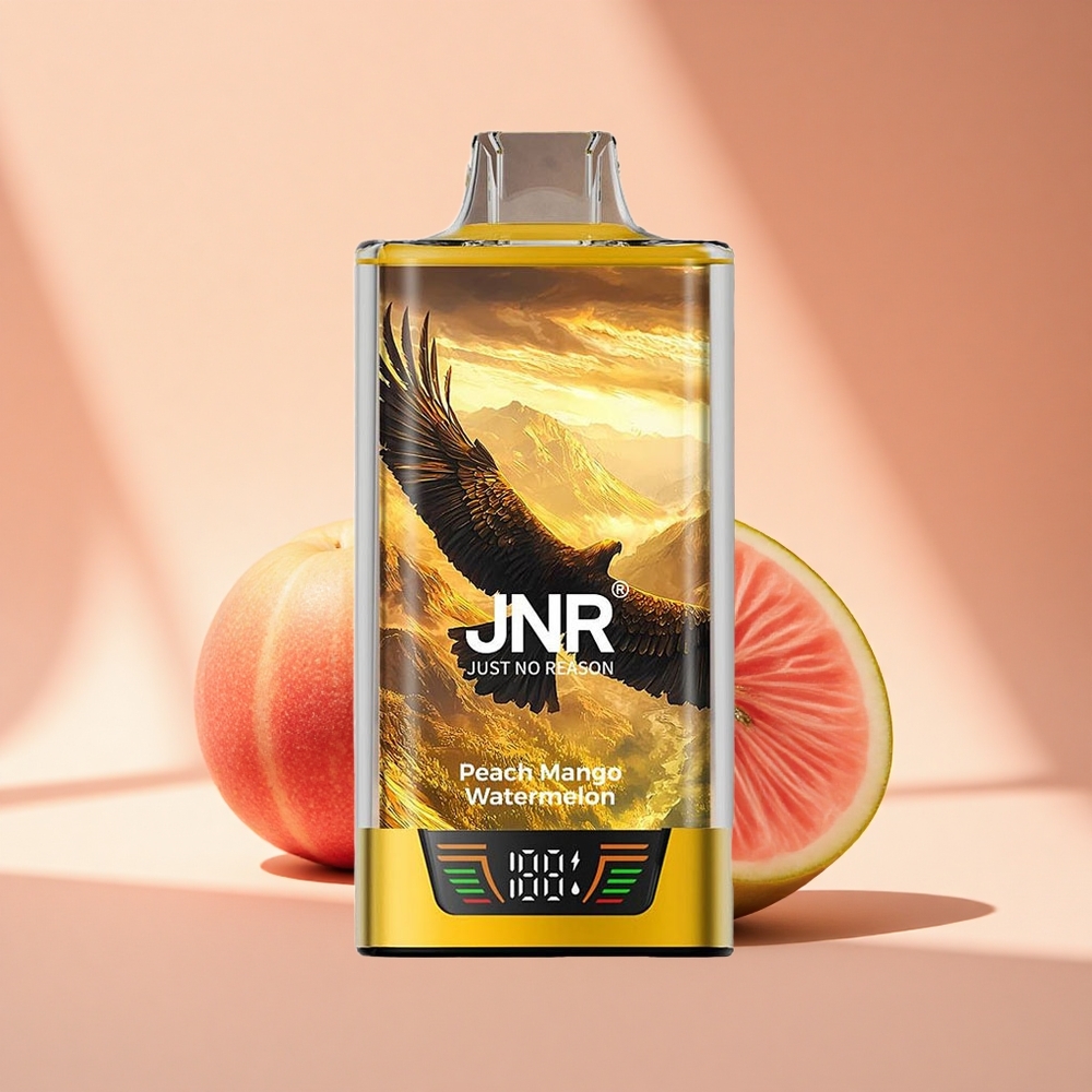 JNR Falcon Pro 28000 Pfirsich Mango Wassermelone 30ml 950mAh Dual Mesh