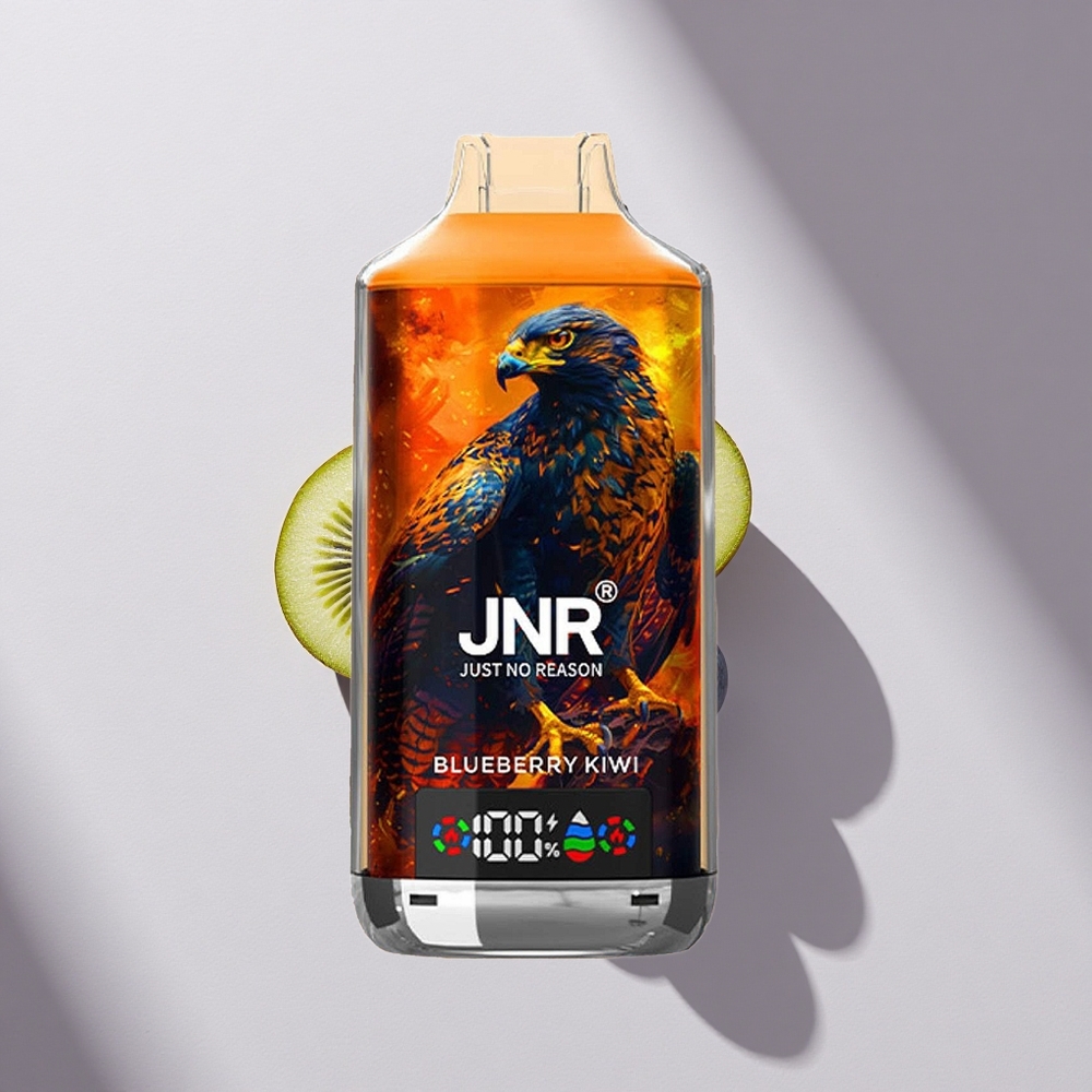 JNR Falcon X 18000 Blaubeere Kiwi 750mAh Dual Mesh