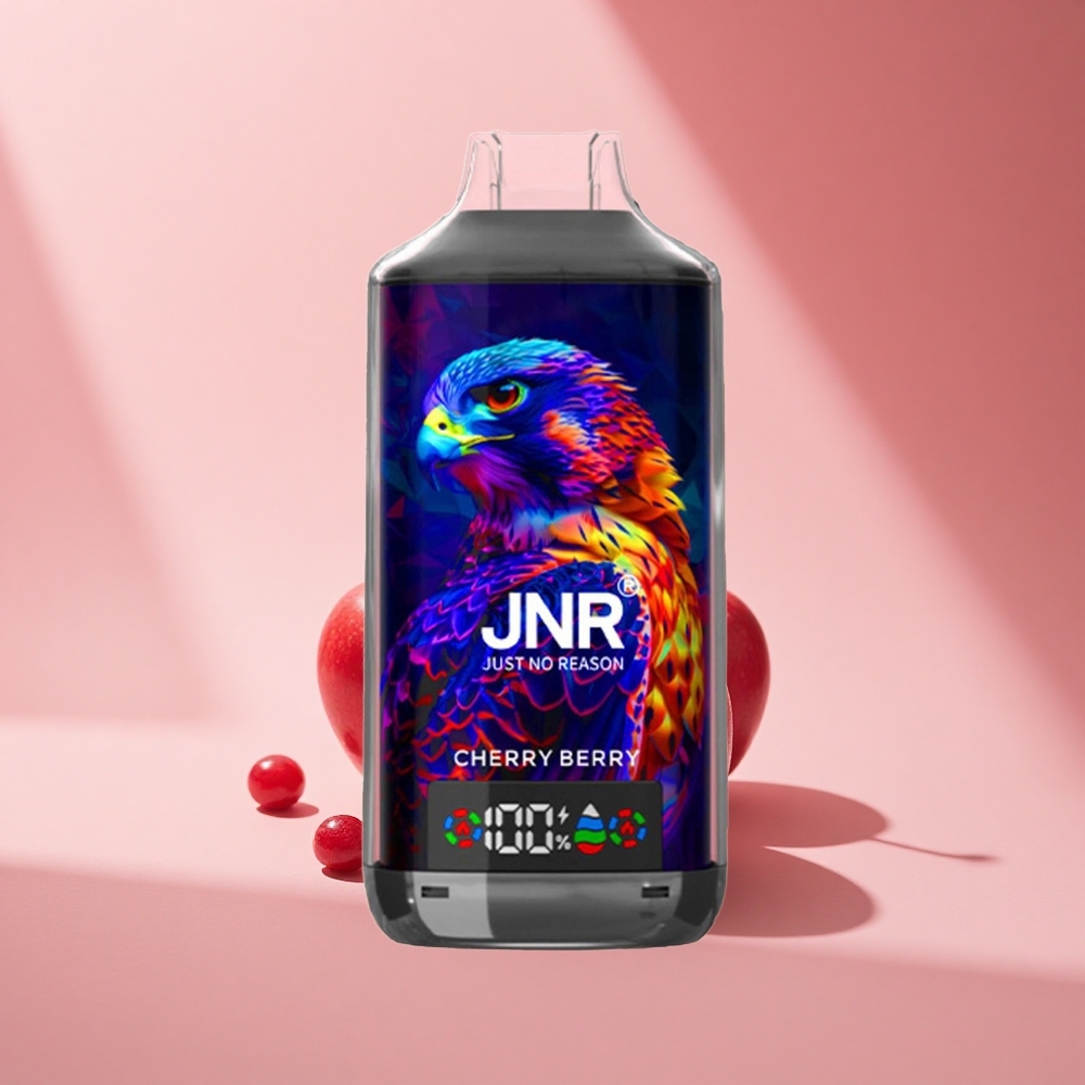JNR Falcon X 18000 Kirschbeere Dual-Mesh 24ml Typ-C