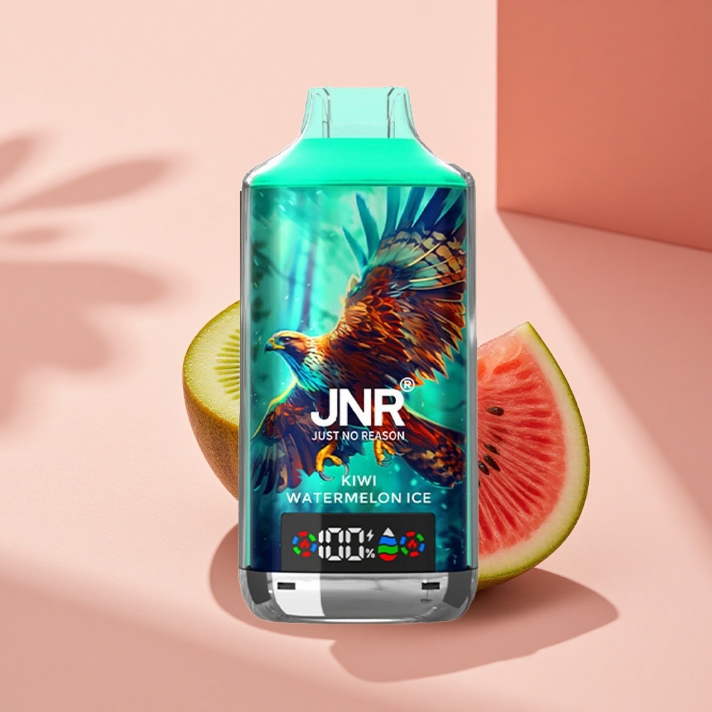 JNR Falcon X 18000 Kiwi-Wassermelonen-Eis 750mAh Dual-Mesh Digital Typ-C