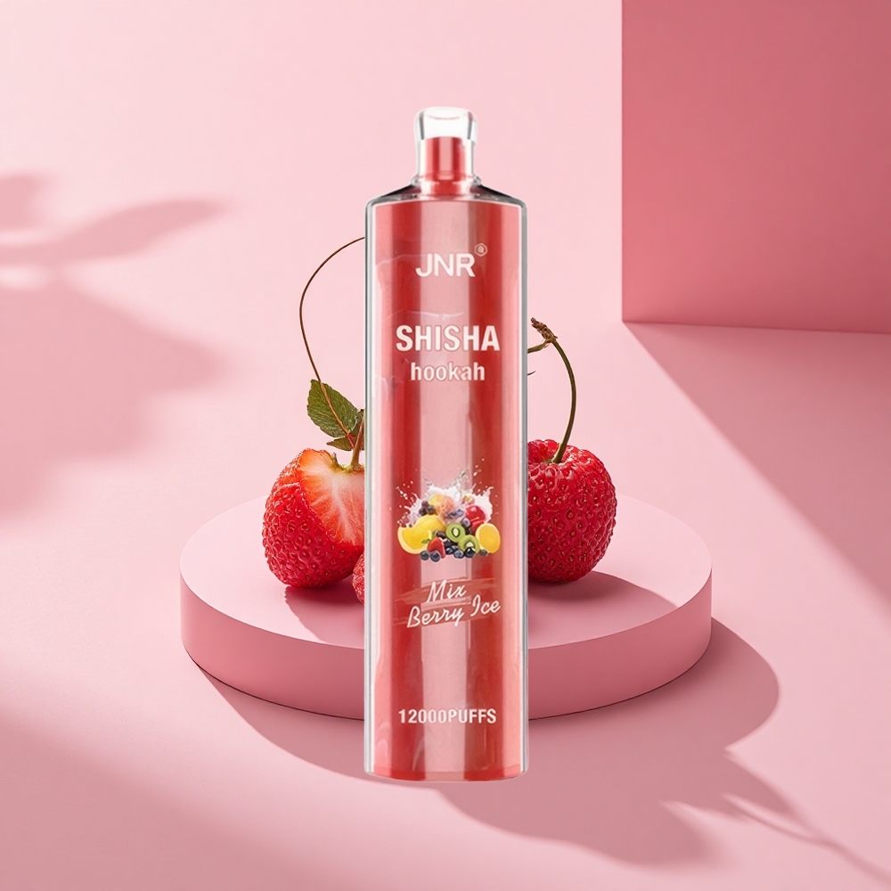 JNR Shisha Hookah 12000 Beeren-Eis 12000 Züge 24ml Typ-C