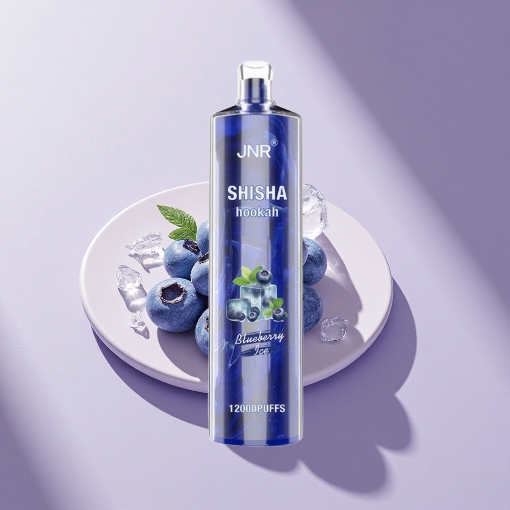 JNR Shisha Hookah 12000 Blaubeer-Eis Typ-C Schnellladung 24ml