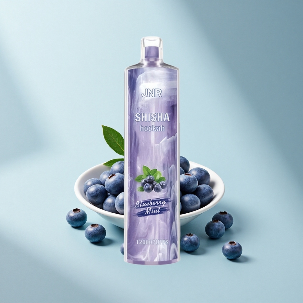 JNR Shisha Hookah 12000 Blaubeer-Minze 12000 Züge 24ml