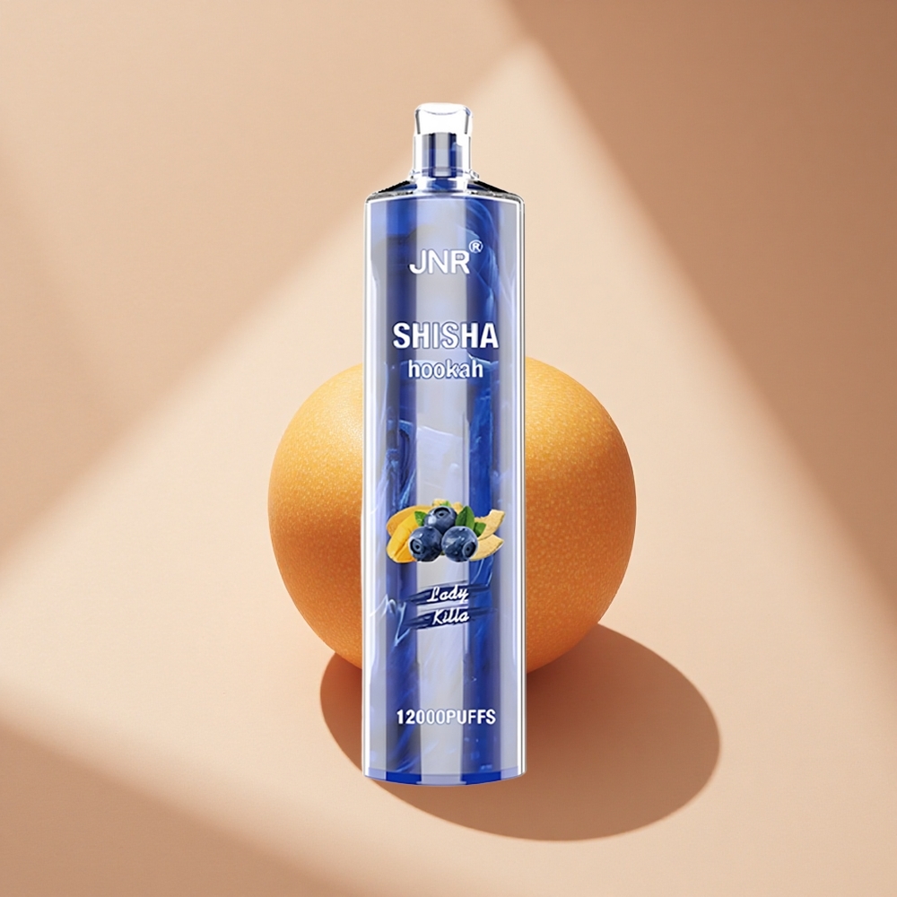 JNR Shisha Hookah 12000 Frau Zerstörer 750mAh Typ-C Schnellladung