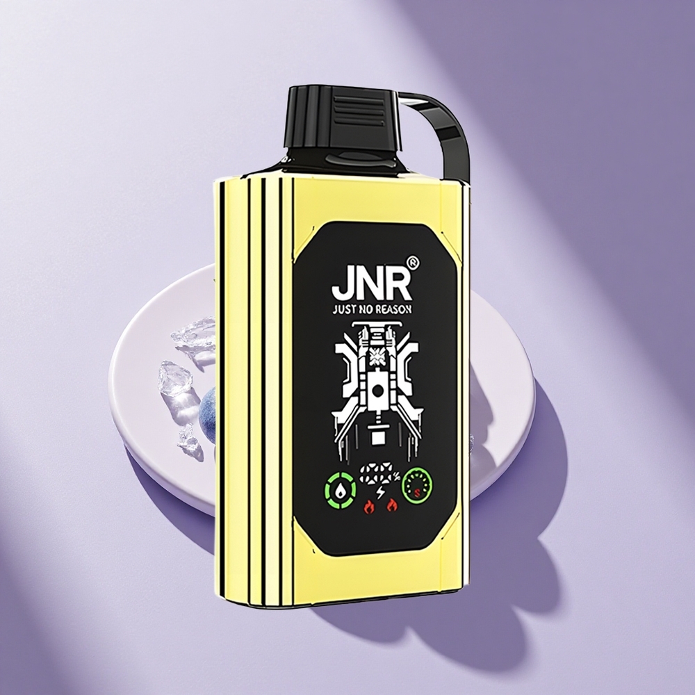 JNR Shisha Hookah Box 20500 Blaubeer-Eis HD Dual Mesh Typ-C