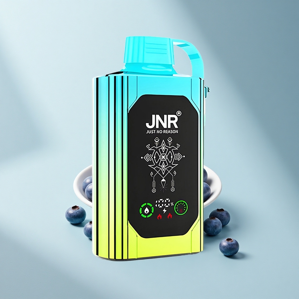 JNR Shisha Hookah Box 20500 Blaubeer-Minze HD Dual Mesh 25ml