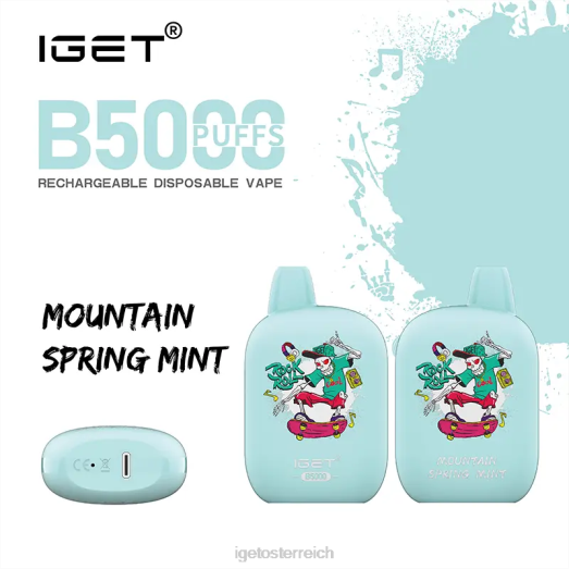 IGET Sale - b5000 8BTV318 Bergfrühlingsminze