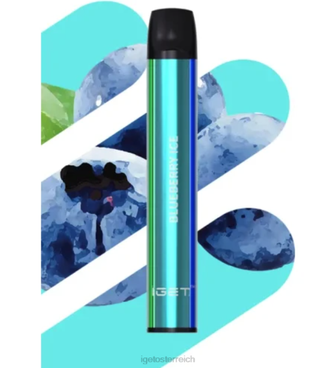 IGET Vape - shion - 600 Züge 8BTV543 Blaubeereis